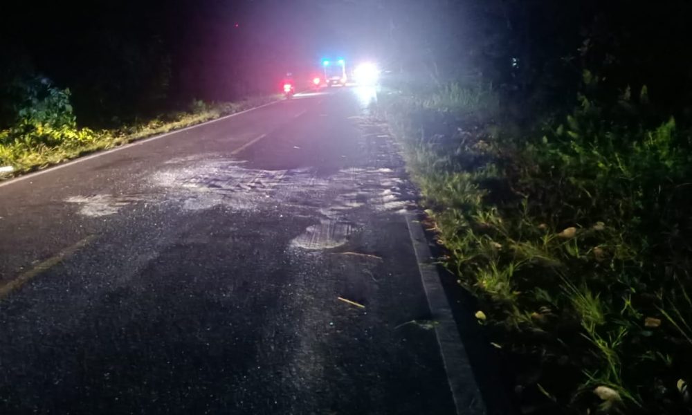 Jatuh Naik Motor Hindari Ranting, Ibu-Anak Tewas Terlindas Truk