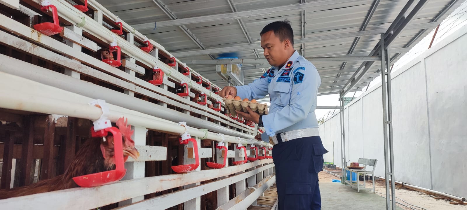 Tumbuhkan Produktivitas Warnarupa, Rutan Ajarkan Ternak Ayam Petelur