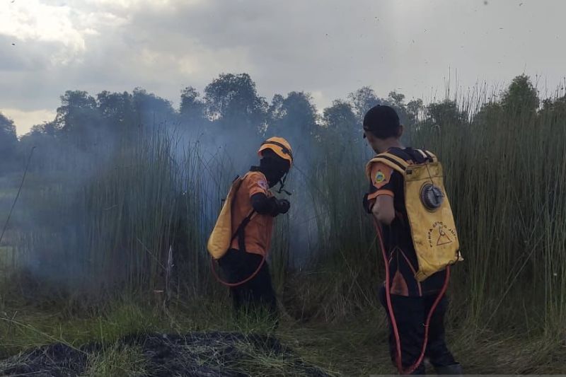 BPBD Kalsel Kian Siaga Usai Kebakaran Landa 14 Wilayah