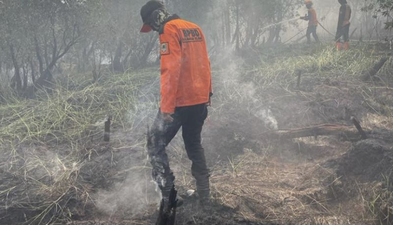 BPBD: Karhutla Capai 163 Hektare di Kalimantan Selatan
