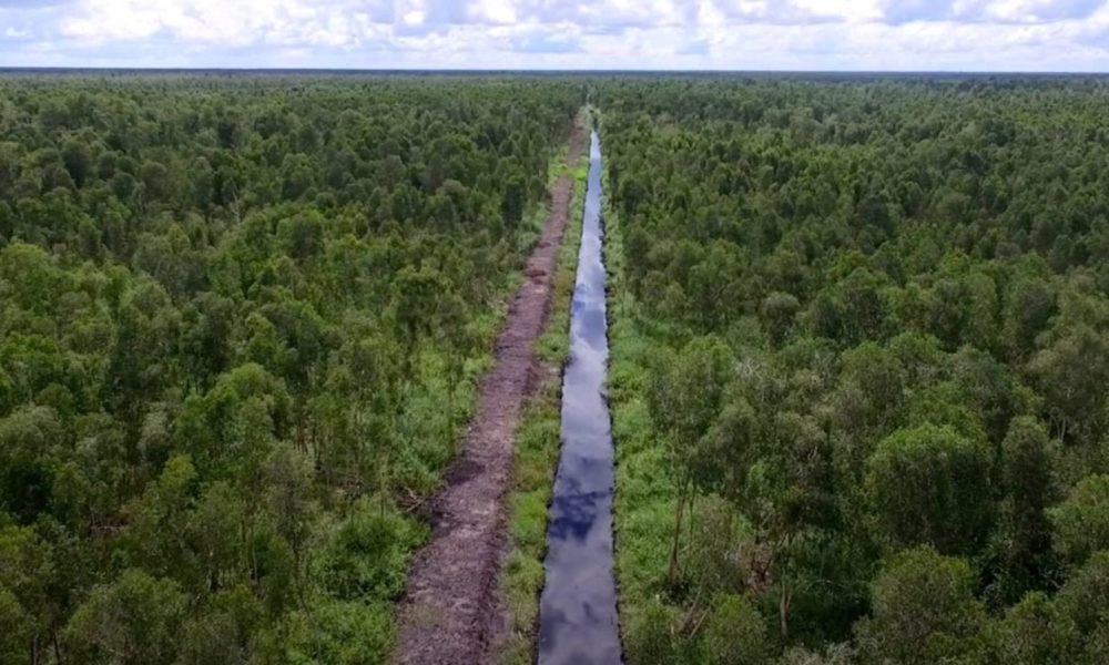 BPBPK Kalteng: 87 Kecamatan Daerah Risiko Tinggi Karhutla