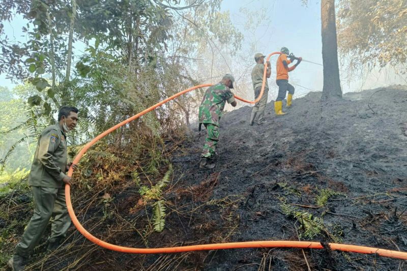 Titik Panas Kaltim Turun dari 254 Menjadi 217