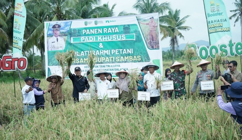 Pemprov Kalbar Optimistis Produksi Padi Capai Target 863.898 ton GKG