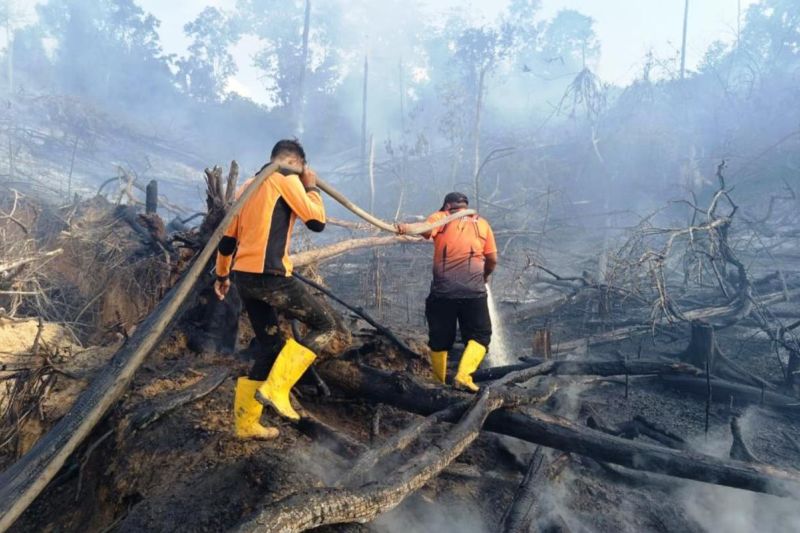 Jumlah Titik Panas di Kaltim Bertahan di 34 Titik
