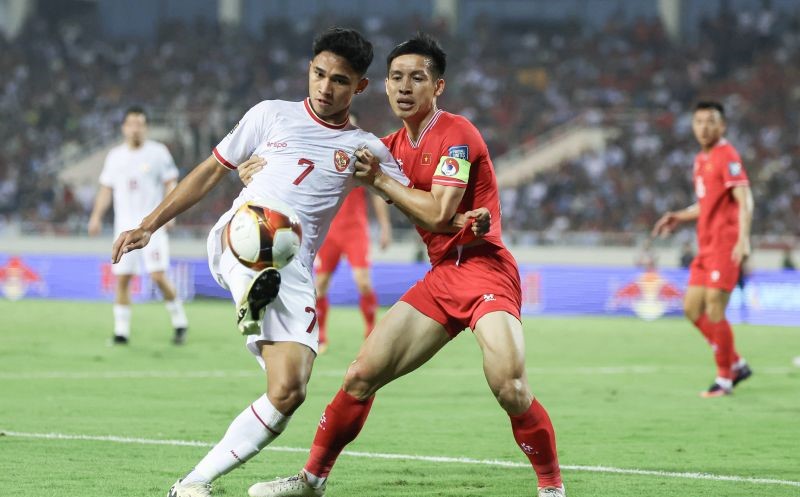 Vietnam dan Phillipe Troussier Sepakat Akhiri Kerja Sama