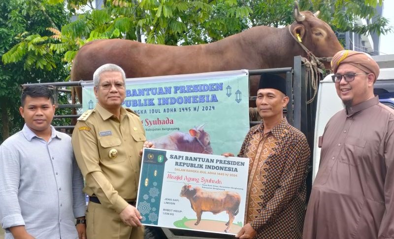 Presiden RI Berkurban Sapi Seberat 1 Ton di Kalimantan Barat
