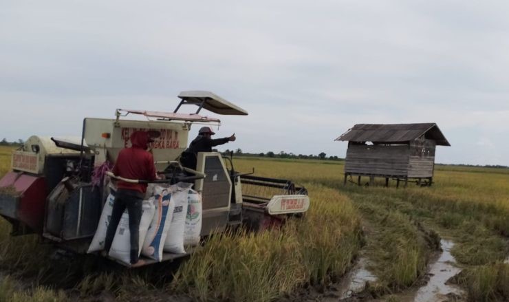 Kabupaten Penajam Susun Program Tingkatkan Produksi-Kualitas Pertanian