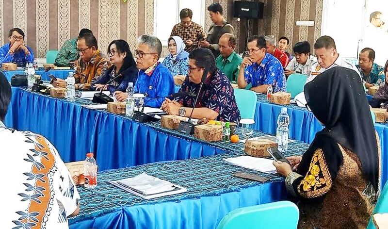 Pemkab Barut Bahas Delineasi Wilayah Perencanaan dan Penjaringan