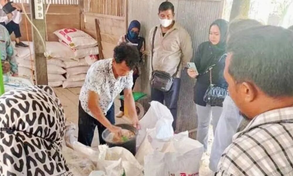 Disnakertranskop UKM Barut Gelar Pelatihan Pengolahan Jagung Menjadi Pakan Ternak