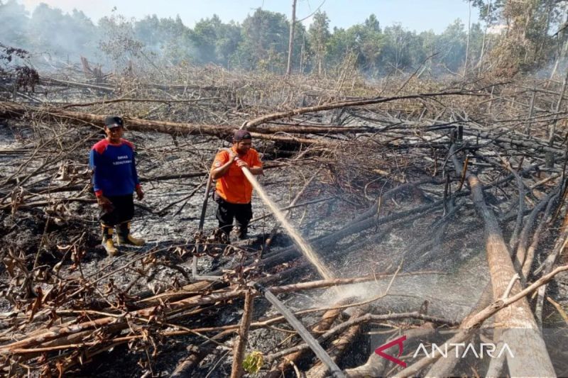 Selama 10 Bulan BPBD Palangka Raya Catat 71,11 Hektare Lahan Terbakar