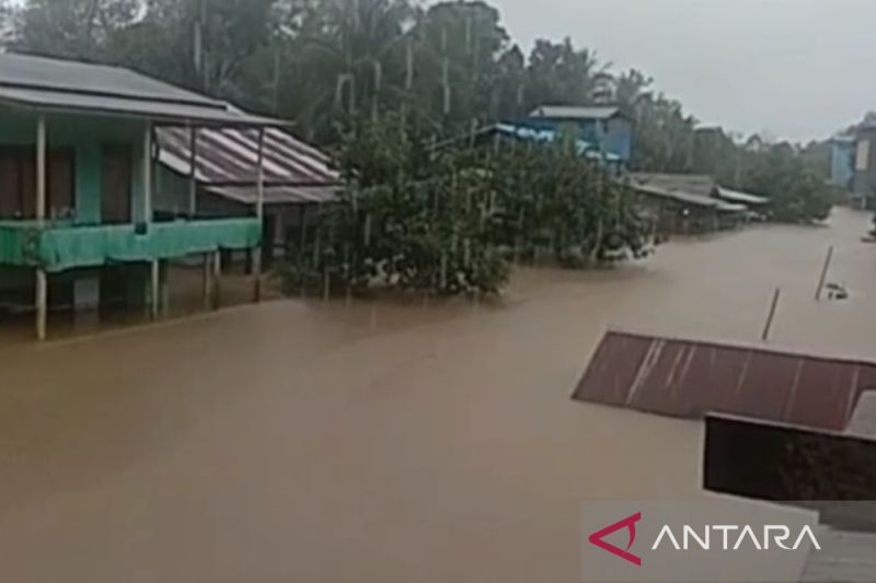 BPBD Kalbar Imbau Warga Ketapang Antisipasi Banjir Semakin Meluas