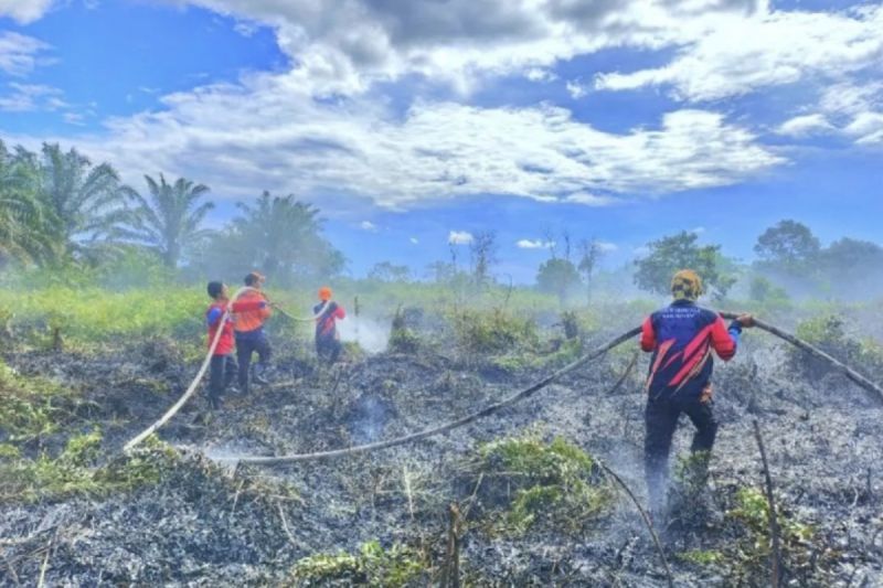 Pemkab Kotawaringin Timur Susun Dokumen Kontinjensi Karhutla