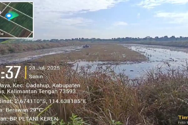 Brigade Pangan Uji Coba Pola Kemitraan Baru: Petani Dapat 70%, Modal Ditanggung Penuh